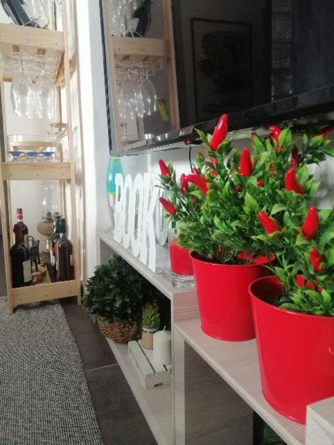 Del Borgo Turyn