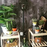 suite del borgo